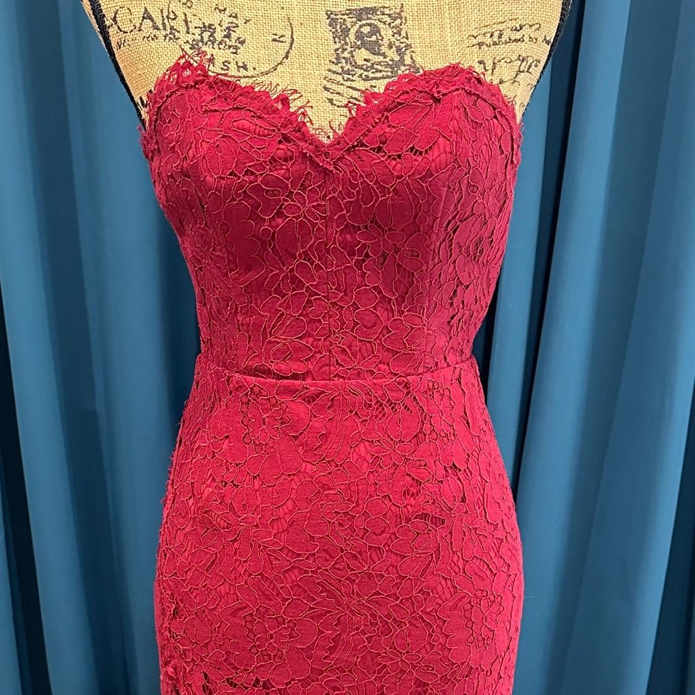 Fame & Partners, Everett  Strapless Lace Gown